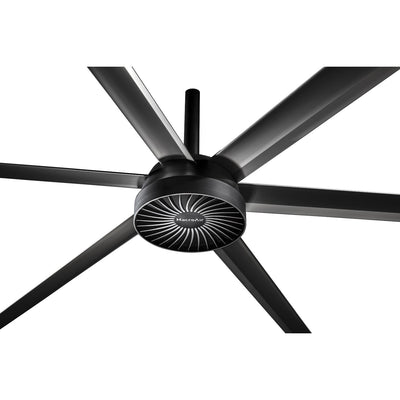 Ceiling Fans