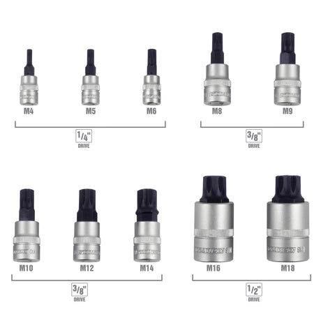 OEMTOOLS 23906 10 Piece 1/4in. Drive Magnetic Triple Square Bit Socket Set Additional Image 3