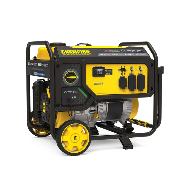 Champion Power 201505 5500 Watt Dual Fuel Portable Generator Main Image
