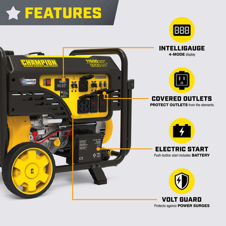 Champion Power 201505 5500 Watt Dual Fuel Portable Generator Additional Image 6