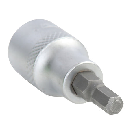 OEMTOOLS 22830 3/8 Inch Drive Hex Bit Socket (5 mm) Main Image