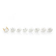 OEMTOOLS 27161 8 Piece Noid Light Set Main Image