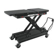 Rotary Lift LT35A 3,500 Lb. Lifting Table for EV Main Image