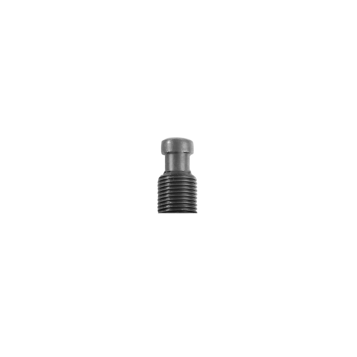 OEMTOOLS 27031C Pressure Tip Main Image