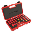 Titan 66100 18 Pc. 1/4 in. Dr. VDE Insulated Socket Set Main Image