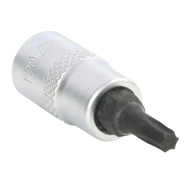 OEMTOOLS 22763 1/4 Inch Drive Star Socket Bit (T20) Main Image