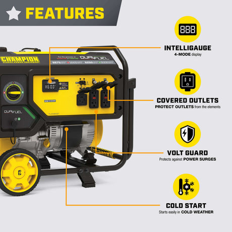 Champion Power 201505 5500 Watt Dual Fuel Portable Generator Additional Image 1