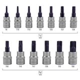 OEMTOOLS 23904 13 Piece Magnetic Star Bit Socket Set Additional Image 3