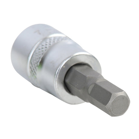 OEMTOOLS 22832 3/8 Inch Drive Hex Bit Socket (7 mm) Main Image