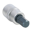 OEMTOOLS 22866 3/8 Inch Drive Hex Bit Socket (3/8 Inch) Main Image