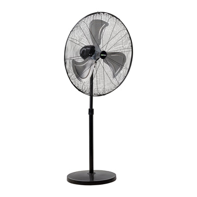 Pedestal Fans
